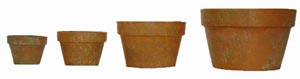 Clay Pot
