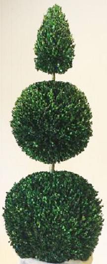 72" Boxwood Double Ball Cone - Click Image to Close