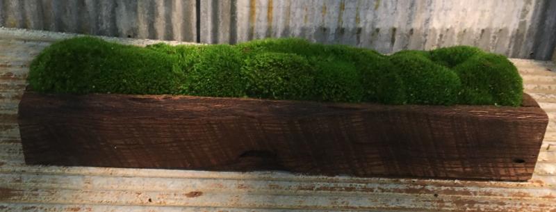 Moss Barn Wood Trough - Click Image to Close