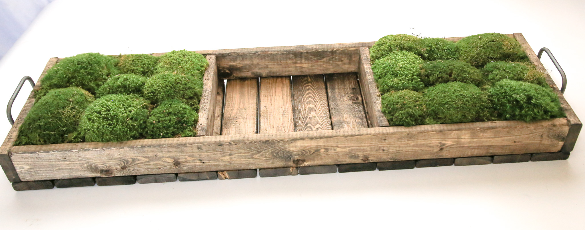 Moss Decor Wood - Dennerle Plants