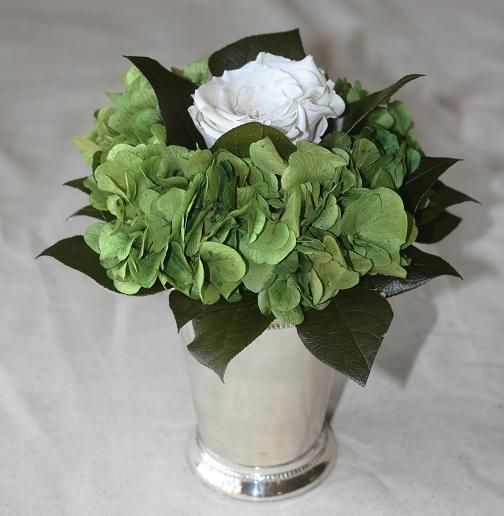 Silver Julep Cup White Rose/Green Hdy
