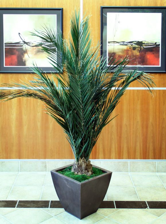 Key Largo Palm - 50"