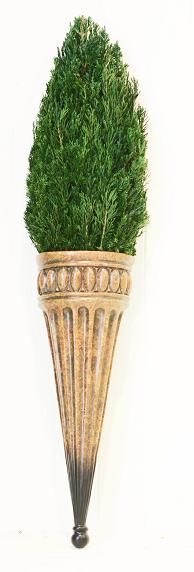 Preserved Juniper Cone Sconce