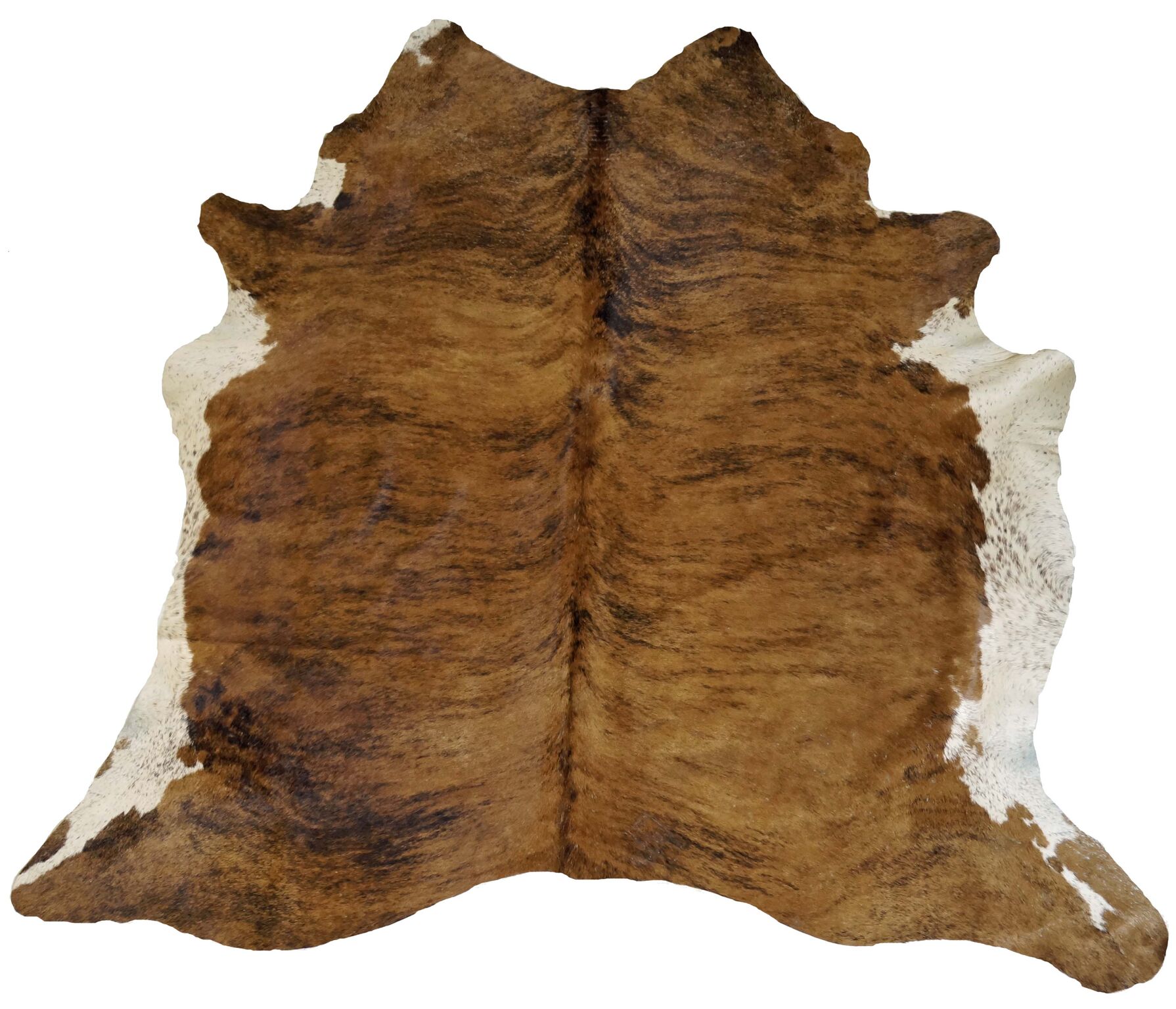 Cow Hides and Other Hides