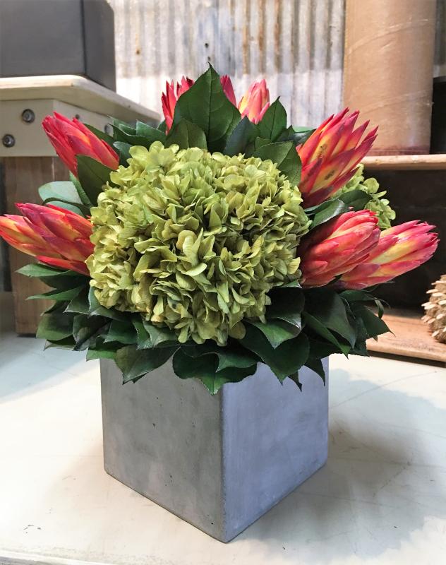 Protea and Hydrangea in Concrete Cube