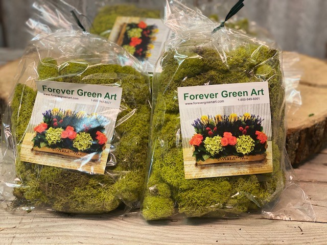 Green Reindeer Moss Bagged 2.0 Oz – The Painted Nest & Co