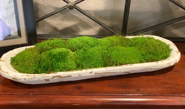 Persevered Moss Centerpiece, 19 Dough Bowl, Home Office Decor