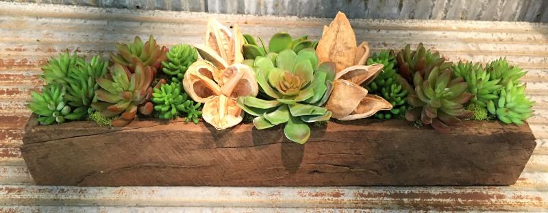 24" Succulent Trough - Click Image to Close